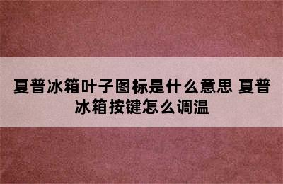 夏普冰箱叶子图标是什么意思 夏普冰箱按键怎么调温